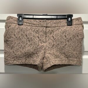 Cynthia Rowley Tan Lace Overlay Short Size 8‎ Spring Summer Outdoors Apparel